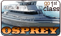 Osprey deep sea and bay fishing charters on South Padre Island