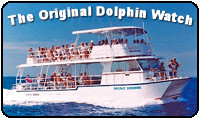 The Original Dolphin Watch