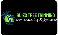 Tree Trimming and Palm Tree Trimming Rio Grande Valley