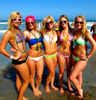 spring breakers on the beach