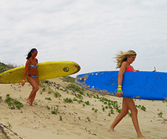 Louie's Backyard Spring Break South Padre